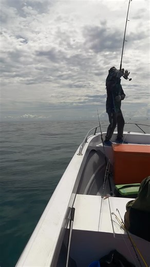Khairul Anuar on Instagram: "Gt on popper 💥💥🎣🐟 Tackle info Reel : shimano stella 14000xg Rod : mc works explosion full contact 807ctr. Line : power pro v2 100lbs. Leader : fisherman 170lb. Lure : hammerhead C Cup Fish : giant travelly (GT) Location: labuan Malaysia. #fypシ゚viralシfypシ゚ #fishing #fishinglife #popping #topwaterexplosion"