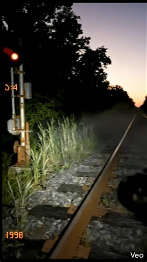 The Abandoned Train Tracks Whispered Back 😱