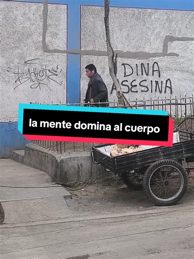Domina tus demonios internos y alcanza la felicidad