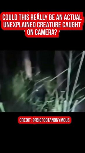 Brazillian Dogman Footage - Caught on Camera #shorts