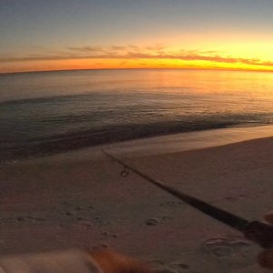 20K views · 266 reactions | Hooking up Every Cast! | Justin Reed Fishing | Facebook