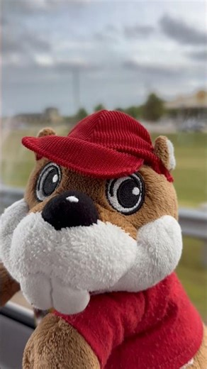 Buc the Beaver’s Hometown Buc-ee’s (2026 Spring Edition)