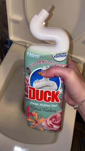 Ultimate Guide to Toilet Cleaning: Tips and Tricks