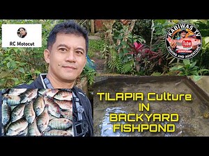 Ideal Backyard fishpond for Tilapia culture