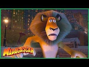 Os Melhores Episódios Com o Alex! 🦁 | Madagascar | Desenhos Animados em Português