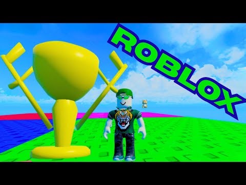 I Beat The Roblox IQ Obby!!!