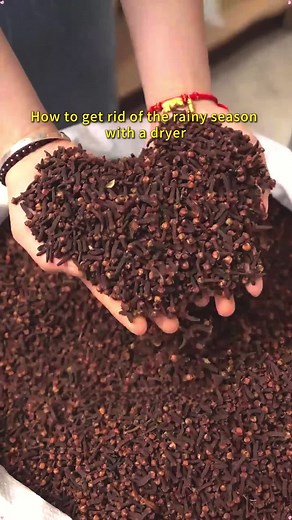 FQ-Dryingequipment on TikTok