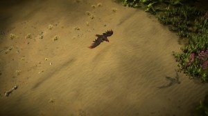 8.4K views · 156 reactions | Mark your prey for destruction with the new Circling Vulture Pet! This pet will follow you into battle and circle above your marked enemy, changing colour based on the mark used. Check it out in the video below, or get yours here! https://www.pathofexile.com/shop/category/new-items | Path of Exile | Facebook