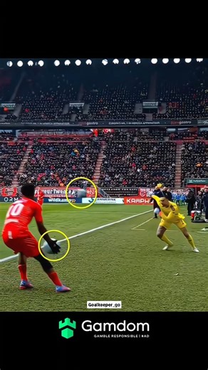 Goalkeeper_go on Instagram: "Smartest GK in the Game 🥶🧠 #goalkeeper #goalkeepersaves #goalie #goalkeeping #gk #keeper #goalkeeperlife #goalkeepertraining #goalkeeperdrills #bestgoalkeeper #gksaves #gkworld #epicsaves #unstoppable #saves #football #soccer #footballskills #soccerlife #futbol #ucl #fifa #footballhighlights #goalkeeper_go #viralfootball"