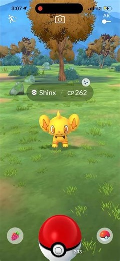 Catching Shiny Shinx #pokemon #pokemongame #shinx #pokemongo #shinypokemon #shiny
