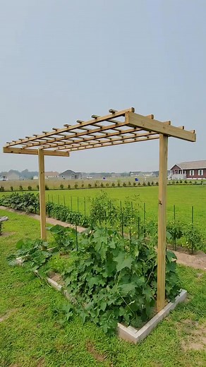 941K views · 10K reactions | Garden Trellis Ideas #diy #garden #backyard #gardenproject | Kabsat | Facebook
