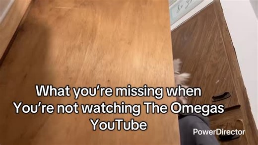 #1 omega on Instagram: "My link is lowk in the bio"