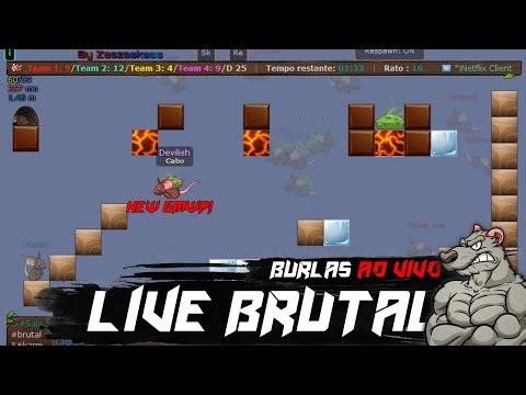 LIVE ON | Jogando e Treinando (GO 800 SUBS) | Transformice