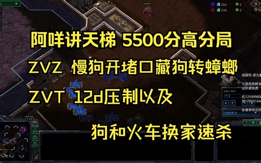 【阿咩讲天梯】5500分高分局 ZVZ慢狗开和堵口藏狗转蟑螂 ZVT12d压制和狗和火车换家速杀思路