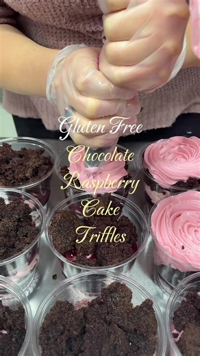 🍫 #Glutenfree #Rebelrisegf #chocolate #easpberry #gfcake