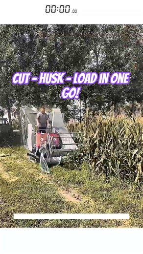 Mini Track Corn Harvester – Cut, Husk, and Load in One Pass!
