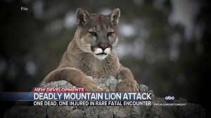 A deadly attack by a mountain lion in California leaves one dead and another one injured, both brothers. This is the first verified fatal attack in that county in nearly three decades. Zohreen Shah reports. https://trib.al/EpodAmJ | ABC World News Tonight with David Muir