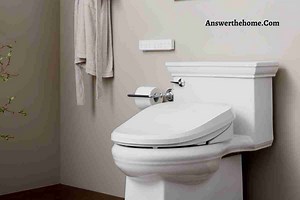 How Can I Tell What Color My Kohler Toilet is - A Step By Step Guide