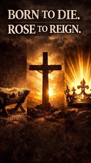 Holylandsite.com on Instagram: "𝗕𝗼𝗿𝗻 𝘁𝗼 𝗗𝗶𝗲. 𝗥𝗼𝘀𝗲 𝘁𝗼 𝗥𝗲𝗶𝗴𝗻. #bethlehem #jesus 🔔 NEXT VIDEOS TO WATCH: https://www.youtube.com/watch?v=owOi0XDuAf8... 🔔 TOUR TRIPS TO ISRAEL BY TODD FINK: https://www.holylandsite.com/holy-land-trips-israel 🔔 BOOKS ABOUT ISRAEL BY TODD FINK: https://www.toddmichaelfink.com/books 🔔 WEBSITE: https://www.holylandsite.com/ 🔔 NEWSLETTER SIGN-UP: https://www.holylandsite.com/newsletter-sign-up 🔔 DONATE: https://www.paypal.com/ncp/payment/5ADKQVC