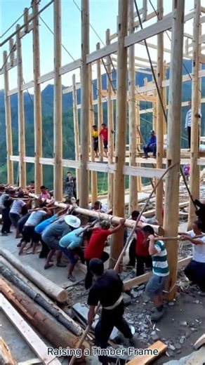 Raising a Timber Frame