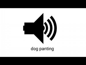 dog panting sound effect (royalty free)