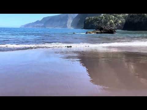 QL is 40 at black sand beach! QL-is-40 #qlis40