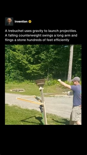 This homemade trebuchet uses gravity to launch objects with medieval level power 🏰 #shorts