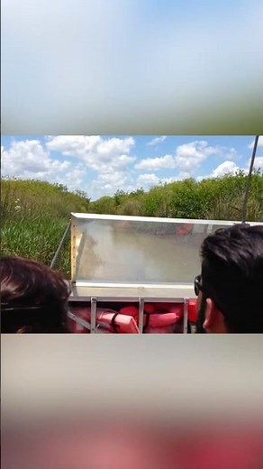 POV: Airboat tour Everglades 🇺🇸 Florida