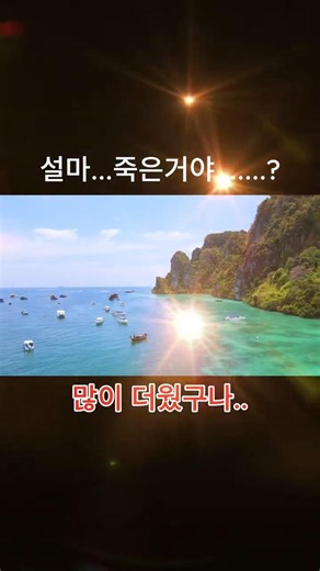 비둘기 잠수