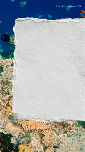 Behind every number is a person, a community, and a shared effort to protect what matters — our planet. What you see here is only part of the story. Read our Annual Report at wwf.org.ph to discover the journeys behind the work. | WWF-Philippines