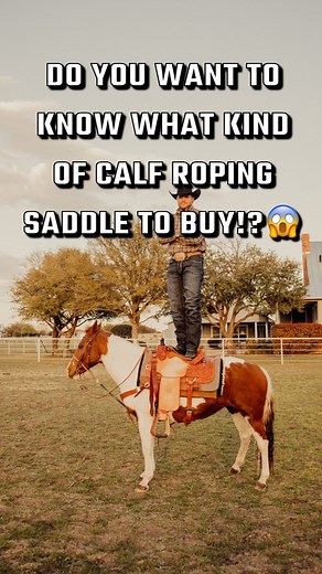 6K views · 134 reactions | Do YOU want to know what kind of calf roping saddle to buy!? #calfroping #tiedownroping #breakawayroping #roping #rodeo #saddle #horses #rodeogym #coaching FC SELAS Fcselas | Rodeo Gym | Facebook