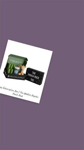 Dog Subscription Box | The Walkies Regular Pooch Pack