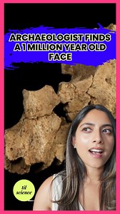 This is what a 1 million year old face looks like 👀 Read about the discovery here: https://idp.nature.com/authorize?response_type=cookie&client_id=grover&redirect_uri=https://www.nature.com/articles/s41586-025-08681-0 #archaeology #ancienthumans #fossil #mindblown | Today I Learned Science