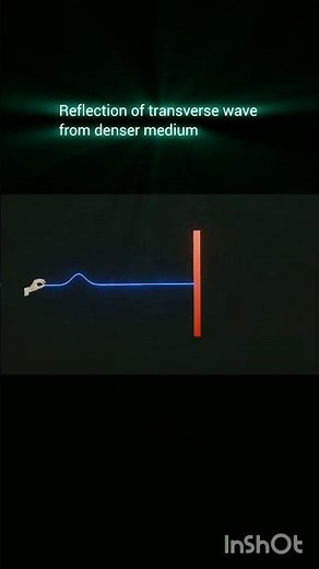 Reflection of transverse wave from denser medium|| #physics #science #physicsanimation