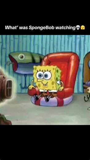 What was SpongeBob really watching….. 🤔 #meme #funny #cartoon | spongebob