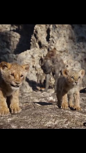 Película Completa de Simba - El Rey León Parte 1