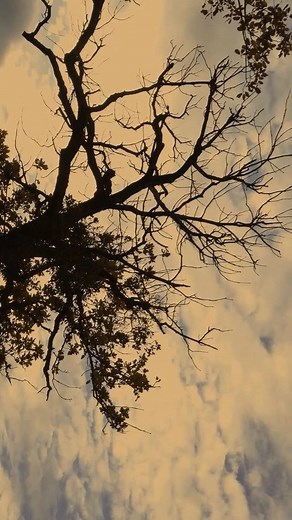 In the new sequel to “The Five People You Meet in Heaven,” the little girl Eddie saved in the first book has her own journey through heaven. The new book, “The Next Person You Meet in Heaven” is in stores October 9. #NextPerson #EddieAndAnnie | Mitch Albom