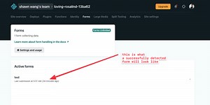 How to use SvelteKit with Netlify Forms