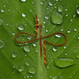 Devin Townsend Project - Ghost