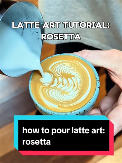 Latte art tutorial - how to pour a Rosetta latte art. Step 1, map out your crema until about 50% full depending on the cup. Step 2, pour the base. This is the foundation of your pattern. Step 3, draw the leaf pattern with a snaking side to side technique. Step 4, pour a slow thin dream to drag milk through the pattern to complete the Rosetta. #coffee #latteart #barista