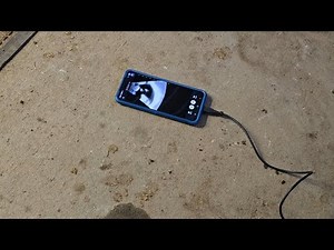 Lamb Confirmations of the California Red Ewes