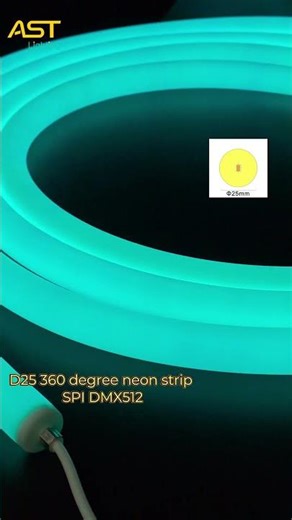 360 degree neon tube light D25 neon flex with SPI DMX512 RGB color effect