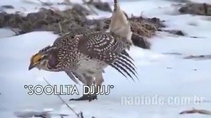 Quando toca aquele flash back | Flash Back Dance