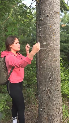 Method for hanging a backpack on a tree with no branches🎒 #survival #bushcraft #Outdoors #camping | Samis Family