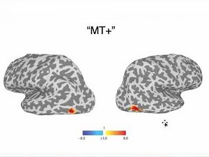 Fundamentals of experimental design with fMRI