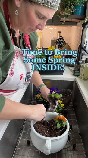 Who can guess what the white pot is? 😉 I love using unusual containers for flowers. Gorgeous flowers from Somerset Nursery. I’m lucky to have such a great business nearby! #spring #springflowers #violas #primrose #flowers #lifeatthenest | Life at the Nest