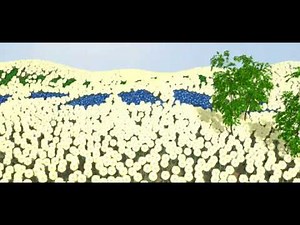 Biodegradable Products Animation - Garbage In and Garbage Out Video Lecture - Class 6