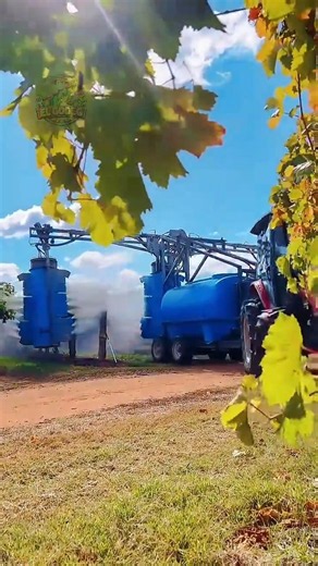Fertilizing grapes with modern sprayer machine