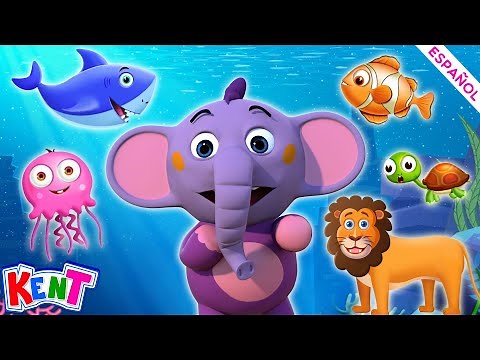 Kent el Elefante | A dónde pertenecen los animales con Kent? Dibujos Animados