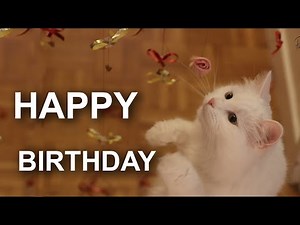 HAPPY BIRTHDAY PLUME - 130 CROQUETTES SUSPENDUES